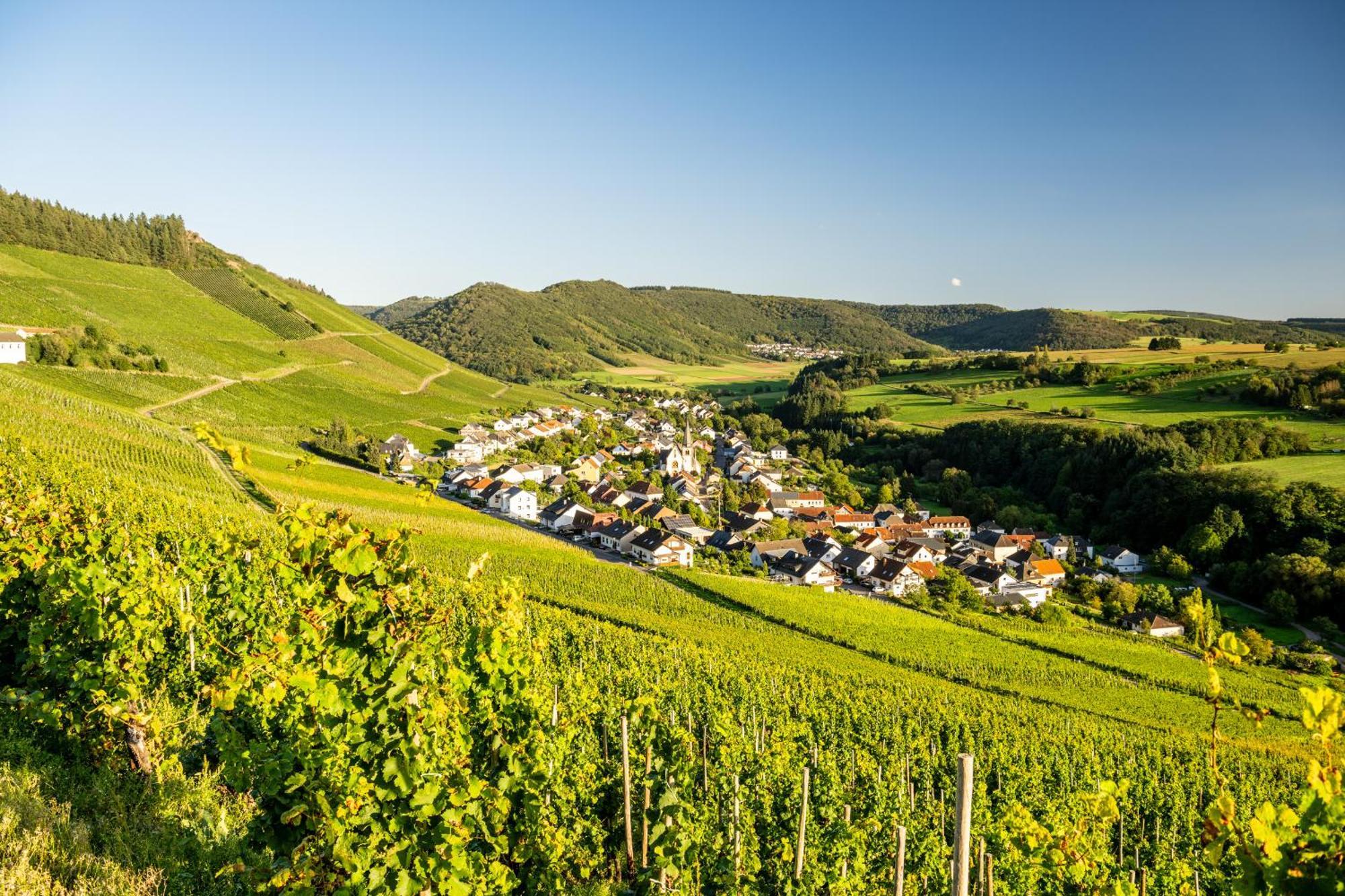 Weinhotel Restaurant Klostermuehle Ockfen Екстериор снимка