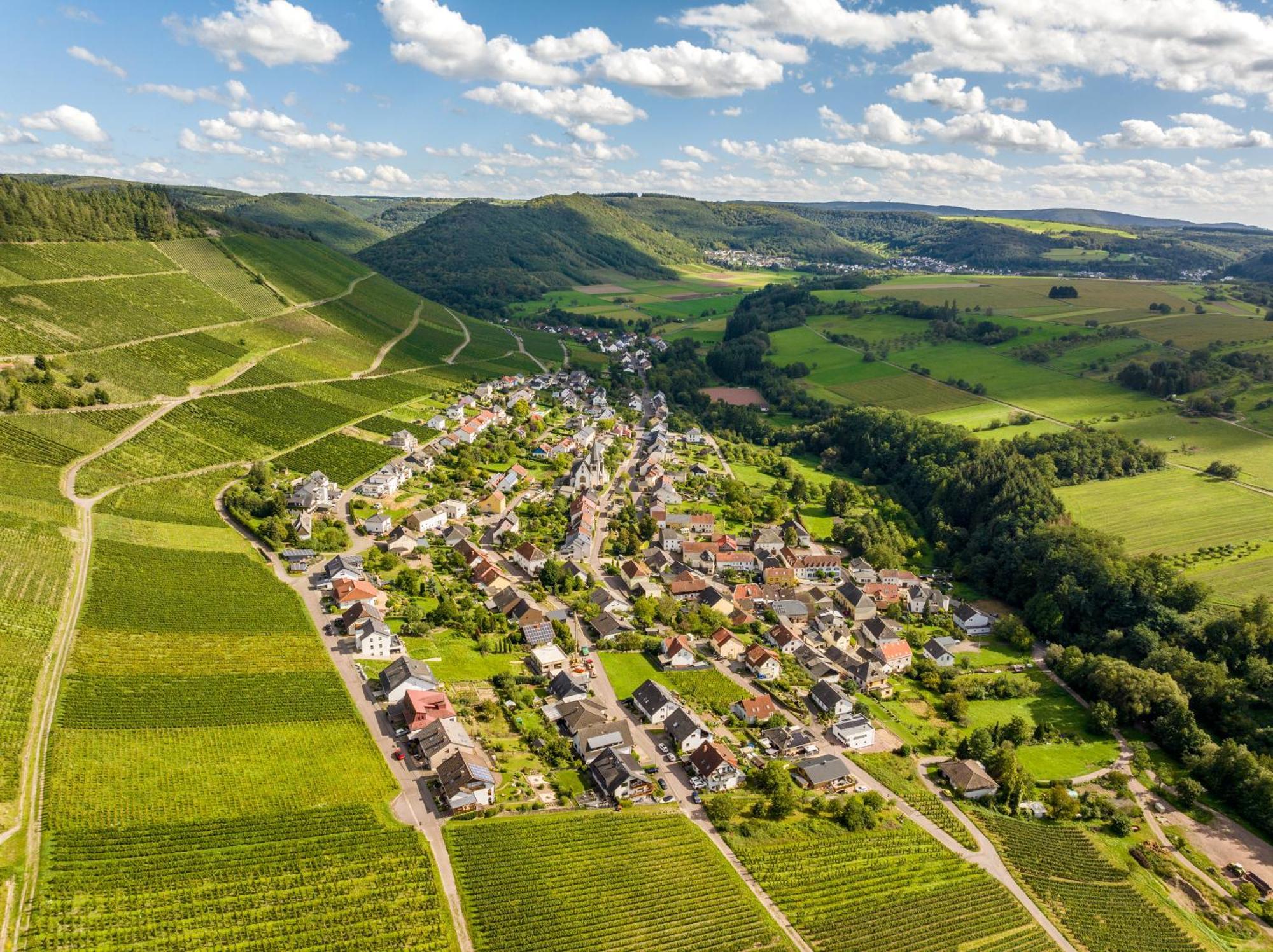 Weinhotel Restaurant Klostermuehle Ockfen Екстериор снимка
