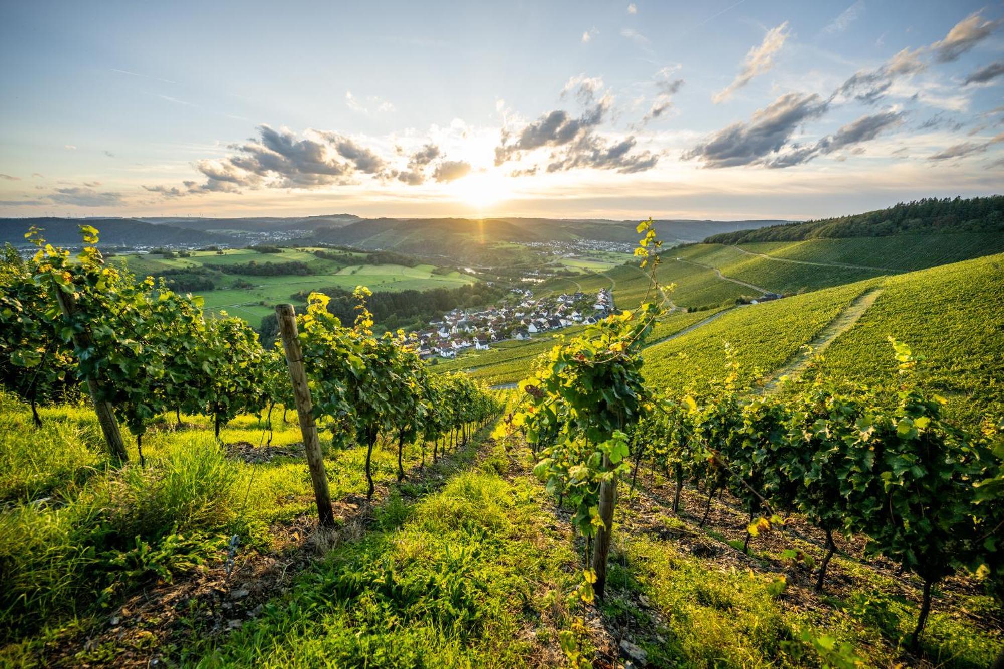 Weinhotel Restaurant Klostermuehle Ockfen Екстериор снимка